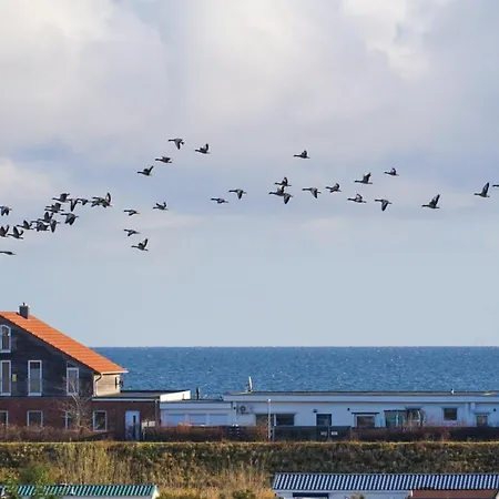 Mit Meerblick Apartamento