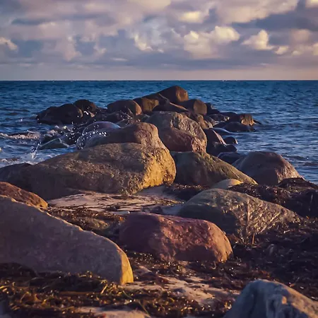 Mit Meerblick Lejlighed